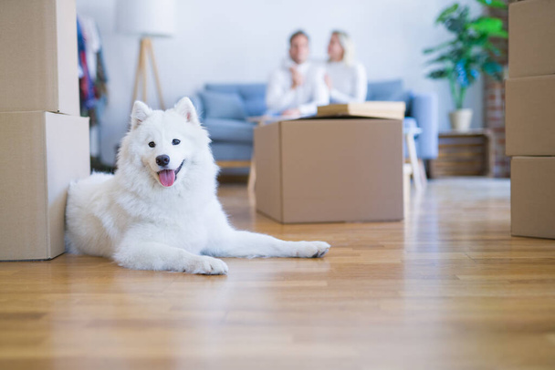 Young beautiful couple with dog sitting on the sofa at new home around cardboard boxes - Фото, изображение