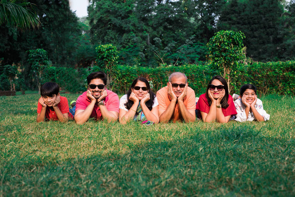 Прекрасна індійська багатопоколінна сім "я з шістьма поколіннями, яка дивиться на камеру і посміхається, лежачи разом над зеленою травою на городі з руками на підборідді. - Фото, зображення