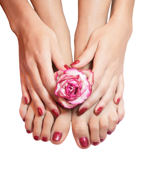 Belle gambe, mani, fiori e petali isolati
 - Foto, immagini