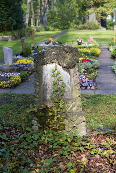 Antigua lápida cubierta de hiedra
 - Foto, Imagen