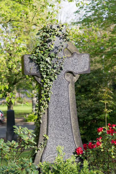 velký kamenný kříž s břečťanem - Fotografie, Obrázek