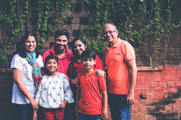 Famille indienne debout en ligne contre un mur recouvert de rampants. Multi génération de famille asiatique dans le parc ou le jardin avoir du plaisir, concept de vie familiale saine
 - Photo, image