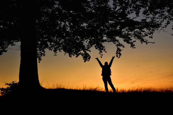 Silueta de mujer levantando las manos bajo un árbol al atardecer
 - Foto, imagen