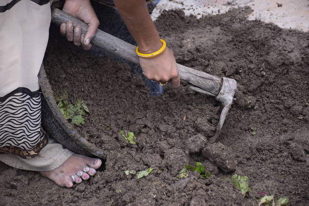 インドの田舎の女性が靴で湿った土を掘っています - 写真・画像
