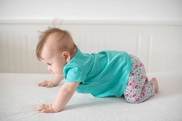 Suloinen valkoihoinen vauva tyttö sinisillä silmillä yrittää nousta ja kävellä, keskittyi vaivaa ja edistystä; söpö vauva kasvojen ilmeitä ja oppimisen vaiheet tai äitiys ja perheen käsitteitä
 - Valokuva, kuva