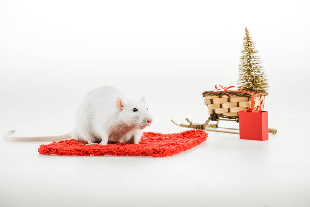 щур на червоному килимі і плетені санки з ялинкою в Новий рік
  - Фото, зображення