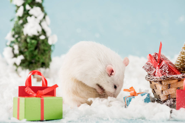 щур, пляшка і плетені санки з подарунковими коробками на Новий рік
  - Фото, зображення