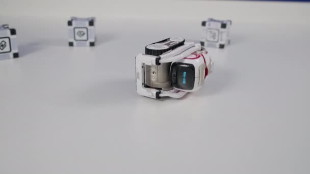 Cute small robot in action - Materiał filmowy, wideo