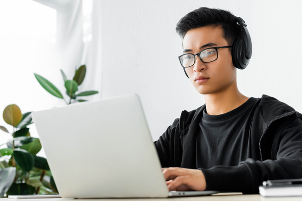 asian hacker in headphones using laptop and sitting at table  - 写真・画像