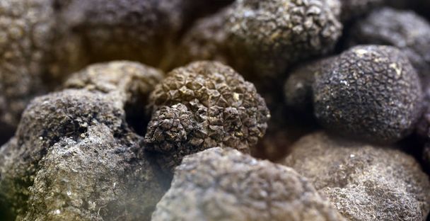 zwart-wit truffel champignon op de markt - Foto, afbeelding