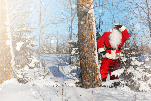 Santa Claus comes with gifts from the outdoor. Santa in a red su - Фото, зображення