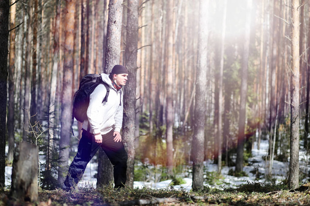 Bir turist bir çam ormanı ile bir sırt çantası içinde bir adamdır. A tr hiking - Fotoğraf, Görsel