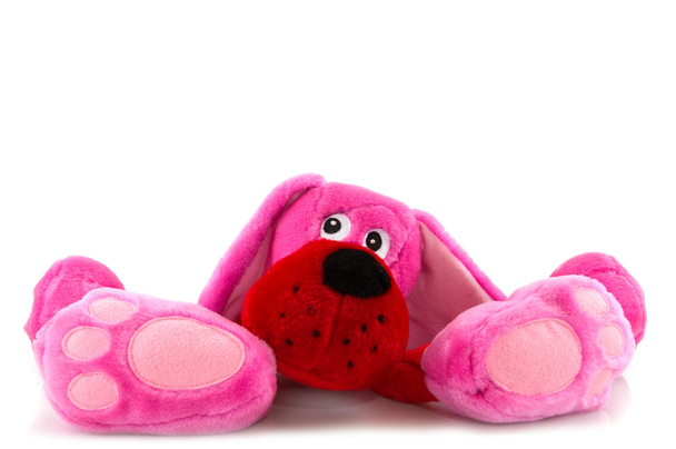 Vaaleanpunainen koira
 - Valokuva, kuva