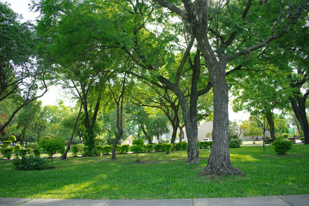 Plaza con arboles verdes en pueblo pequeo - Φωτογραφία, εικόνα