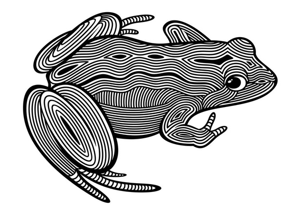 Векторная иллюстрация контура, декоративный, zentangle, стилизованная сидящая лягушка в черном цвете, изолированный, на белом фоне
. - Вектор,изображение