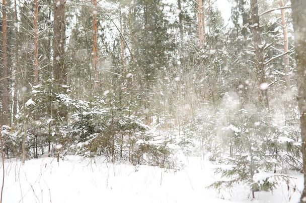 Winterlandschap van akkers en wegen - Foto, afbeelding