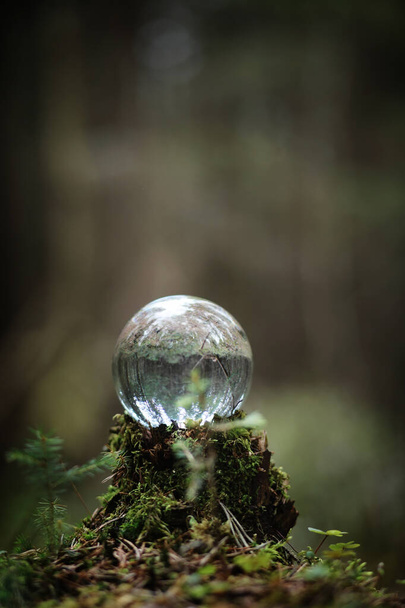 Una bola de cristal. Un accesorio mágico en el bosque en el tocón. Rit.
 - Foto, Imagen