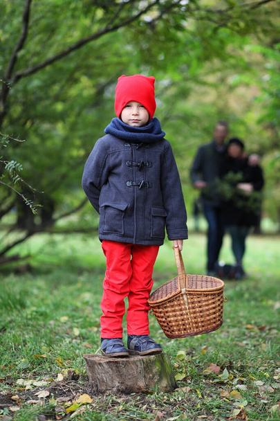 child on a walk in the park in sprin - Photo, image