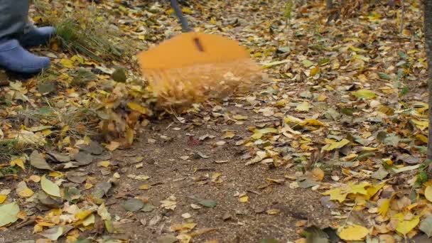 jesień, człowiek z grabie czyści spadające liście na dziedzińcu, zbliżenie - Materiał filmowy, wideo