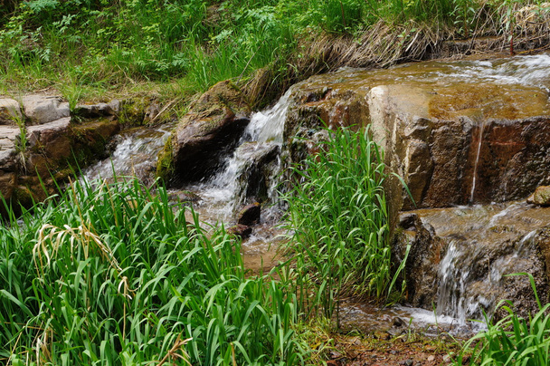 O córrego de montanha, água caindo e grama verde
 - Foto, Imagem