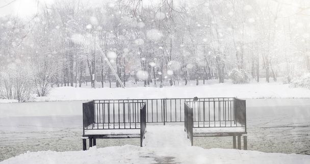 Parque de invierno cubierto de nieve y bancos. Parque y muelle para alimentación
  - Foto, Imagen
