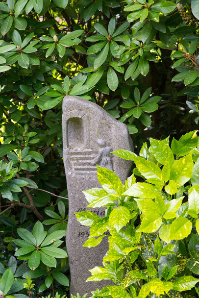 Надгробний камінь за живоплотом
 - Фото, зображення