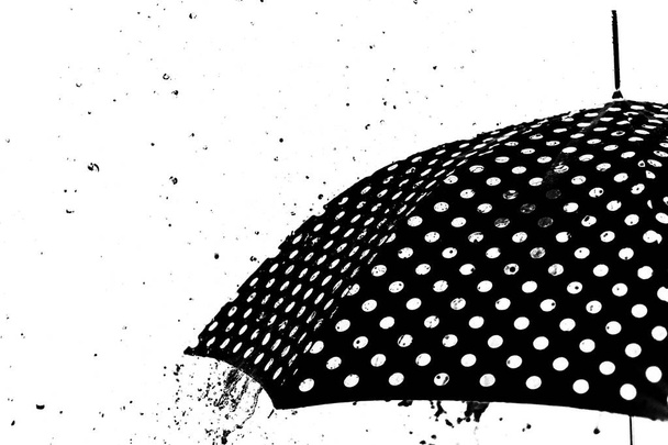 βροχή drop ομπρέλα απομονωμένες - Φωτογραφία, εικόνα
