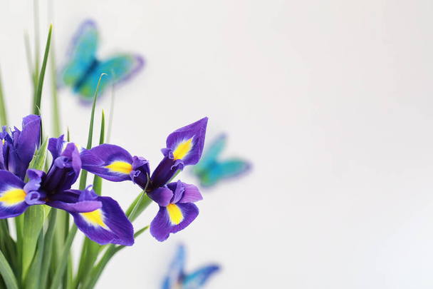 Purple irises on a white background - Photo, Image