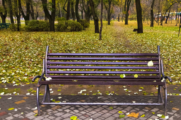 Egy üres pad áll az őszi parkban.. - Fotó, kép