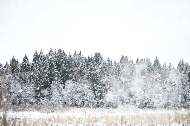 Winter landscape of country fields and roads - Φωτογραφία, εικόνα