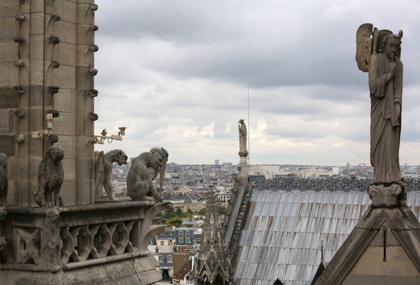 Notre Damen katedraalin katolla Pariisissa ennen tulipaloa
 - Valokuva, kuva