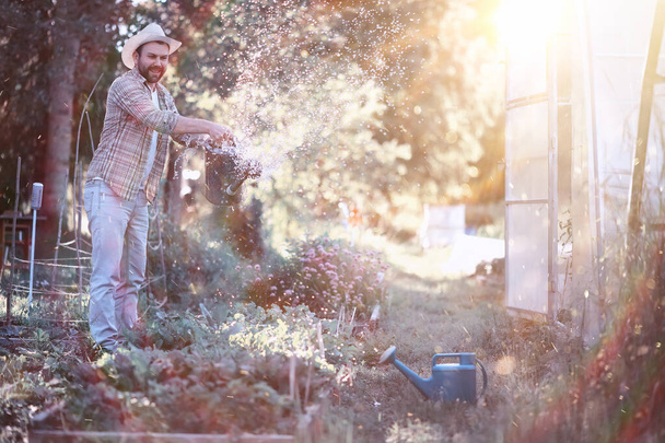 Людина фермер поливає овочевий сад
 - Фото, зображення