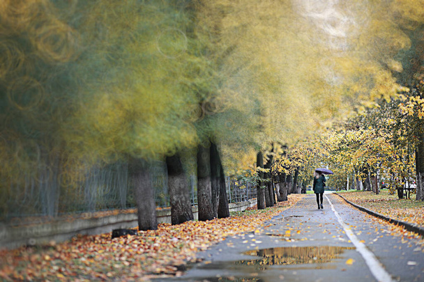 Őszi háttérképet eső a parkban - Fotó, kép