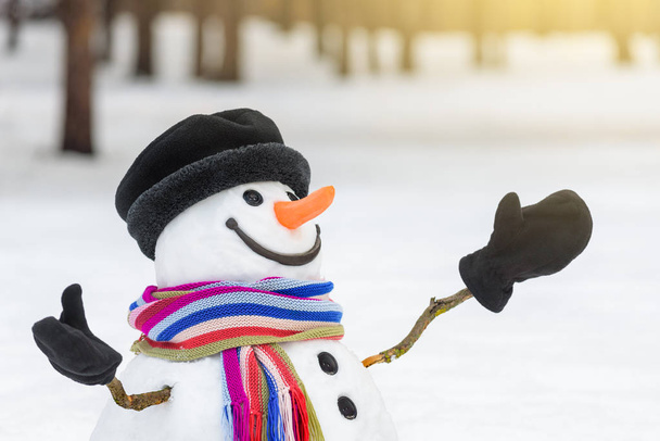 Kerstkaart met een schattig sneeuwpop - Foto, afbeelding