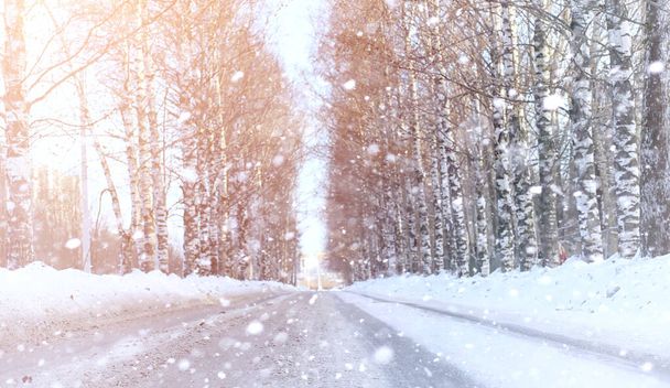 Kış manzara kar expanses kaplı. Kışın bir parkta  - Fotoğraf, Görsel