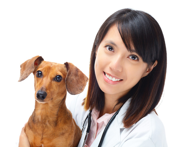 Ветеринар з собакою таксі
 - Фото, зображення