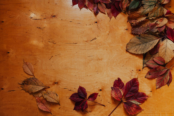 秋の背景黄色と赤の葉9月12月10月 - 写真・画像