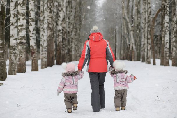 Children walk in the park in winter. Winter forest a family with - Photo, Image