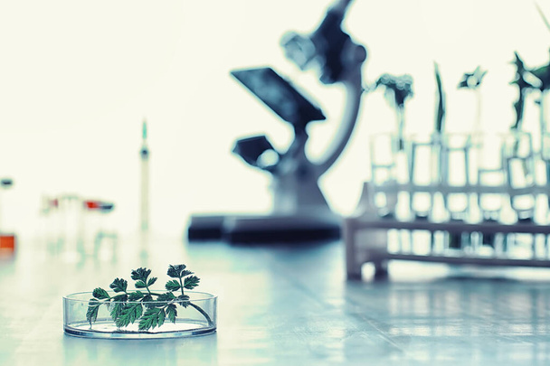 Mikroskop und Testpartitionen auf dem Tisch im Labor. - Foto, Bild