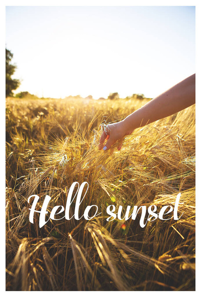 girl holding wheat on the field, inscription hello sunset - Фото, изображение