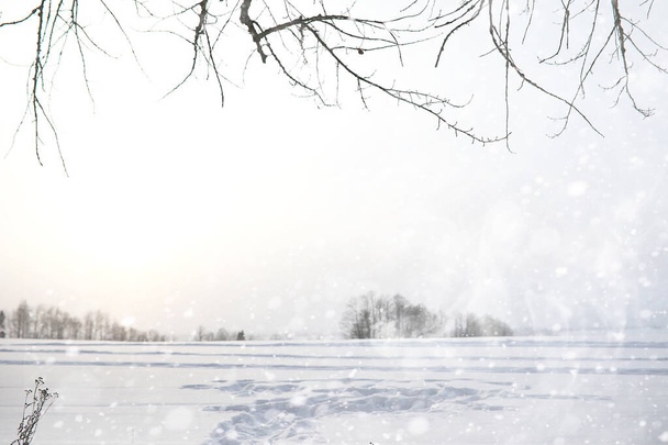 Winter landscape of country fields and roads - Fotoğraf, Görsel