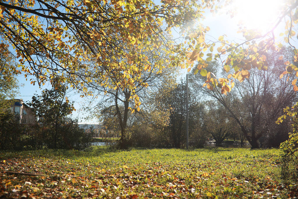 Fond d'automne dans le parc
 - Photo, image