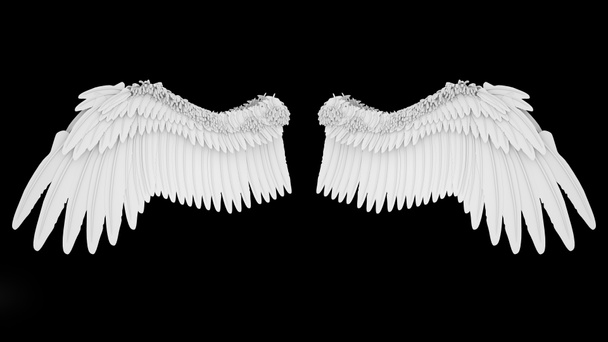 Realistische elegante witte engel vleugels geïsoleerd op zwarte achtergrond, 3d rendering - Foto, afbeelding