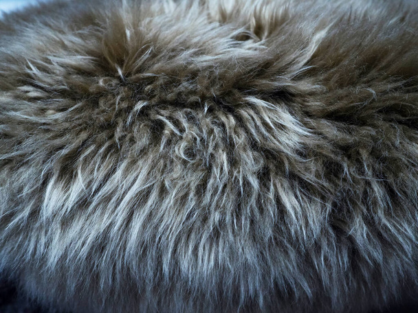 Birka gyapjú háttér, Természetes bolyhos szőrme juhgyapjú. - Fotó, kép
