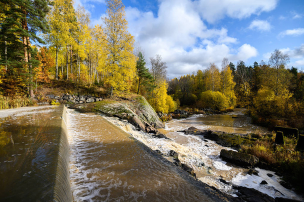 River in the forest with rapids. Autumn. Suburb Of Helsinki, Fin - Foto, Bild