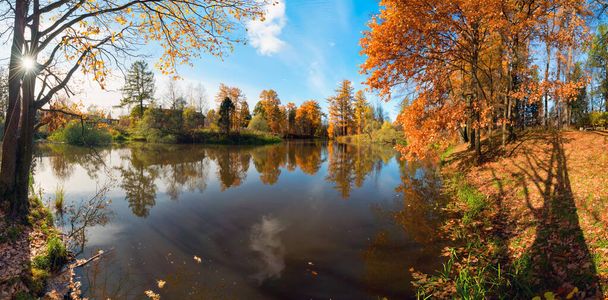 Malowniczy jesienny krajobraz. Żółte drzewa odbijają się w wodzie małego stawu. Panorama. - Zdjęcie, obraz