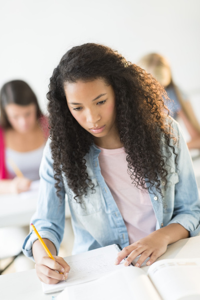 Teenage Student Studying At Desk In Classroom - Fotografie, Obrázek