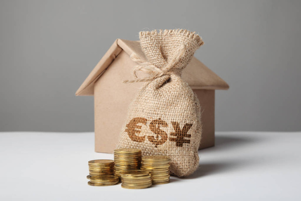 Brown bag with logo of dollar, euro and yuan. Gold coins and hom - Fotoğraf, Görsel