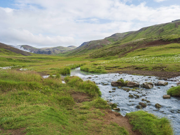 Reykjadalur valley with hot springs river with lush green grass meadow and hills with geothermal steam. South Iceland near Hveragerdi city. Summer sunny morning, blue sky. - 写真・画像