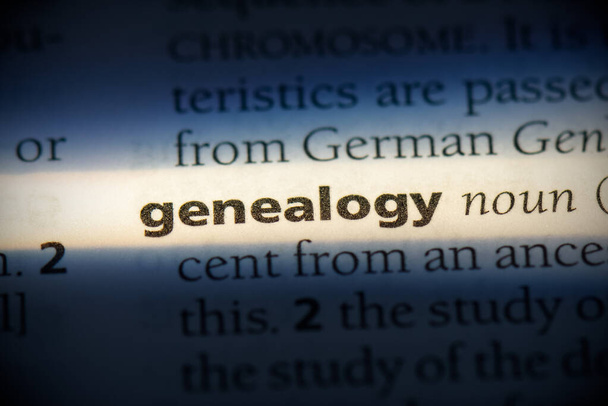 genealogia
 - Foto, Imagem
